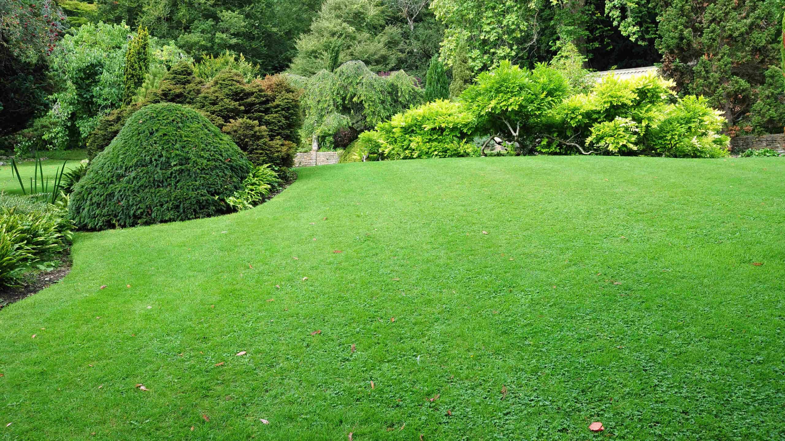 lawn mowing, landscaping, and sod professionals in Milton, FL
