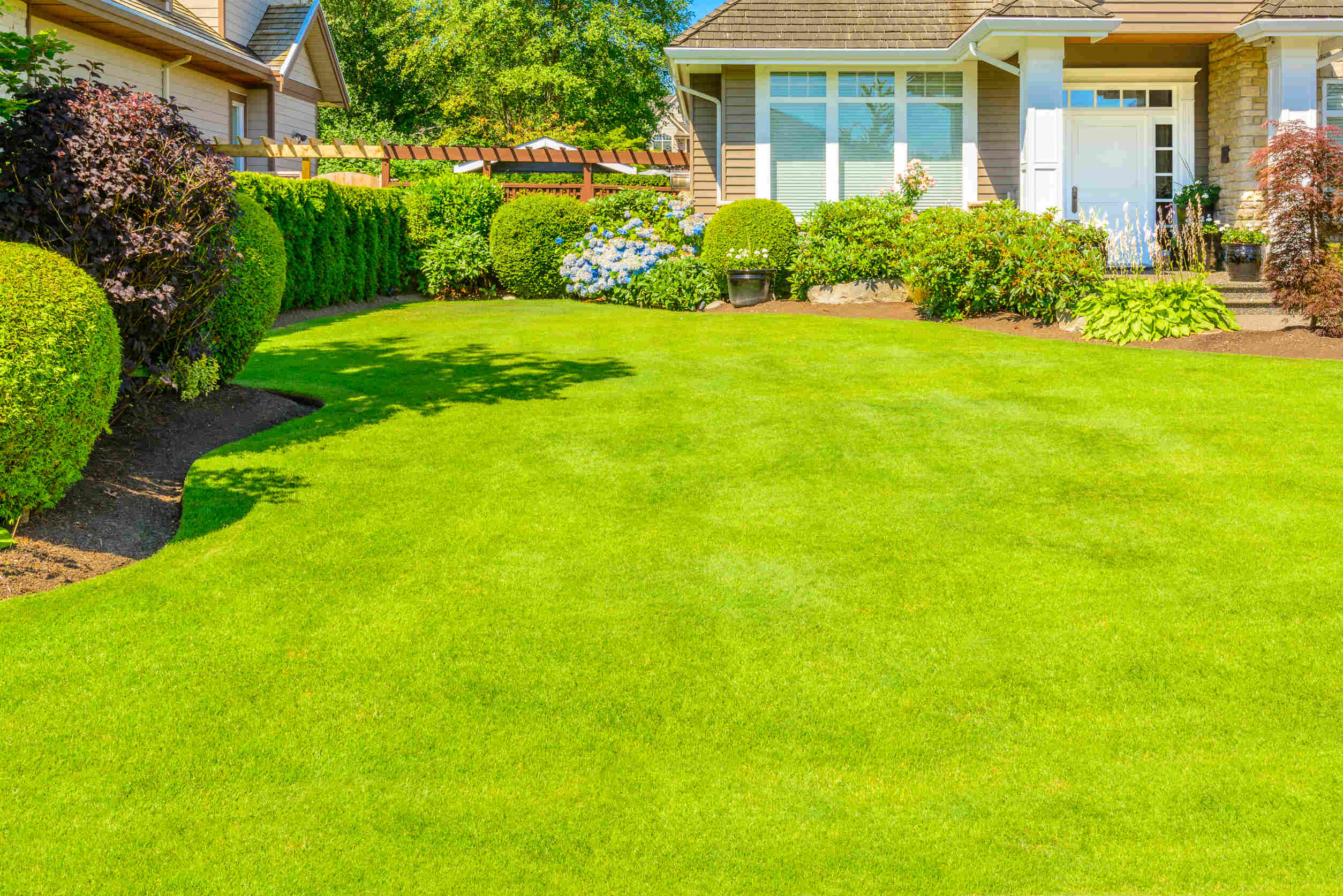 Milton’s best lawn mowing company for landscaping and sod