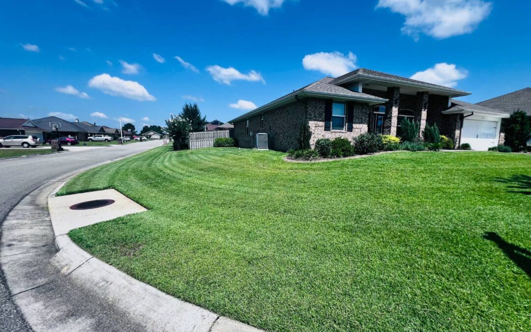 Mulch - ProMow Lawn & Landscaping Prepping For New Sod? Tips & Pointers