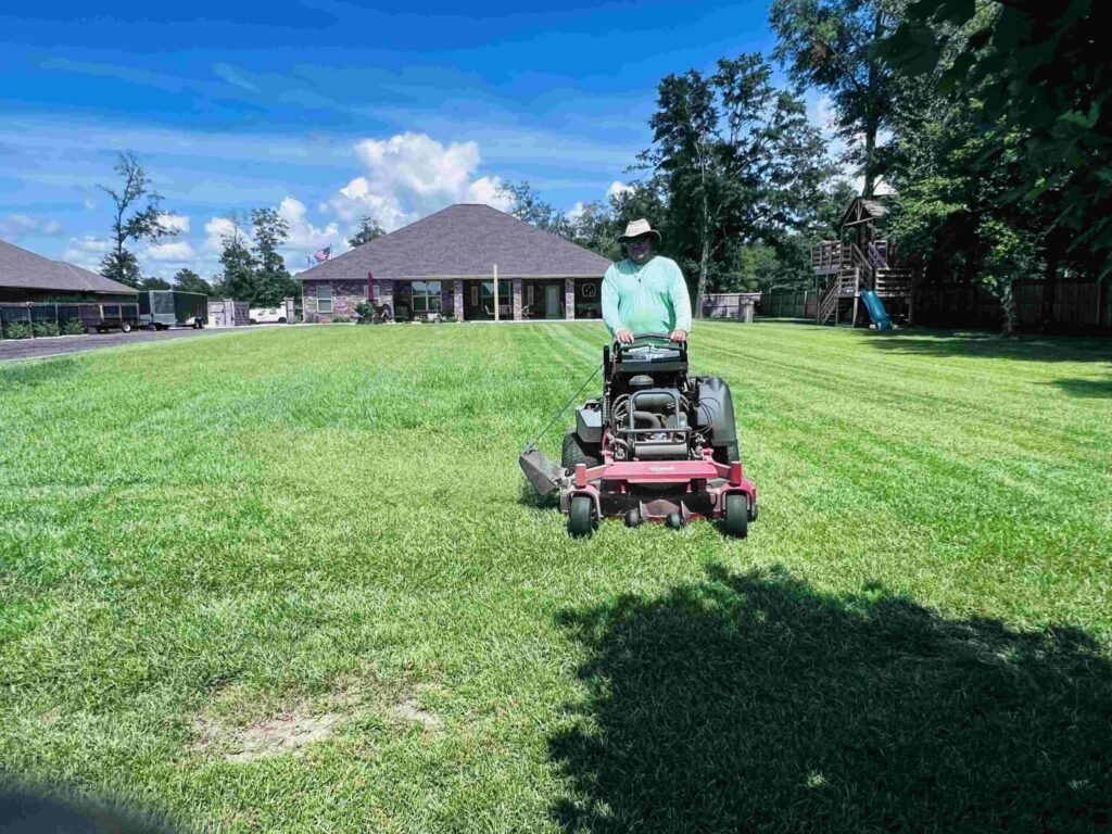The ultimate lawn care guide