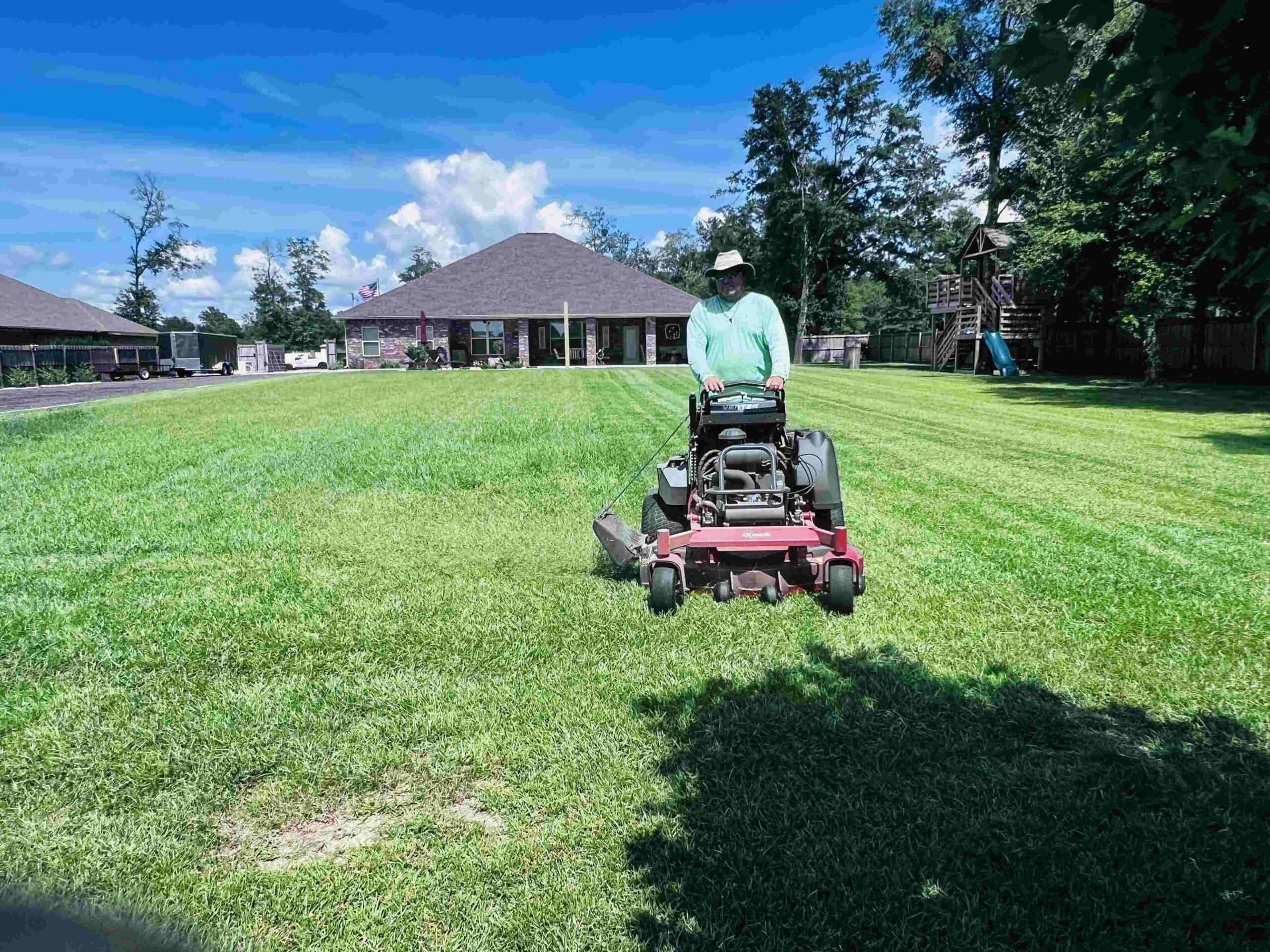 The ultimate lawn care guide