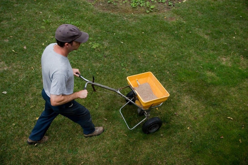 despite the misconceptions, winter fertilization is incredibly beneficial. 