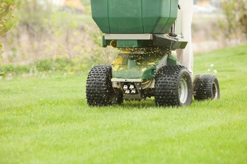 winter fertilization primarily benefits plant roots. 