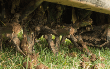 Core Aeration vs Spike Aeration | Which is the Best Option?