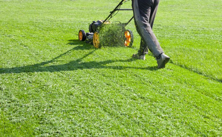 quality mulch services in Pace, Ferry Pass, Milton, and surrounding areas
