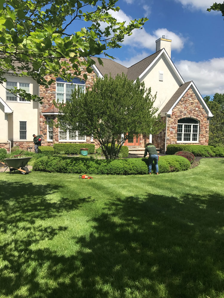 Landscape maintenance services - ProMow Lawn & Landscaping