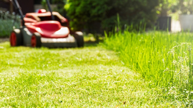 quality mulch services in Pace, Ferry Pass, Milton, and surrounding areas