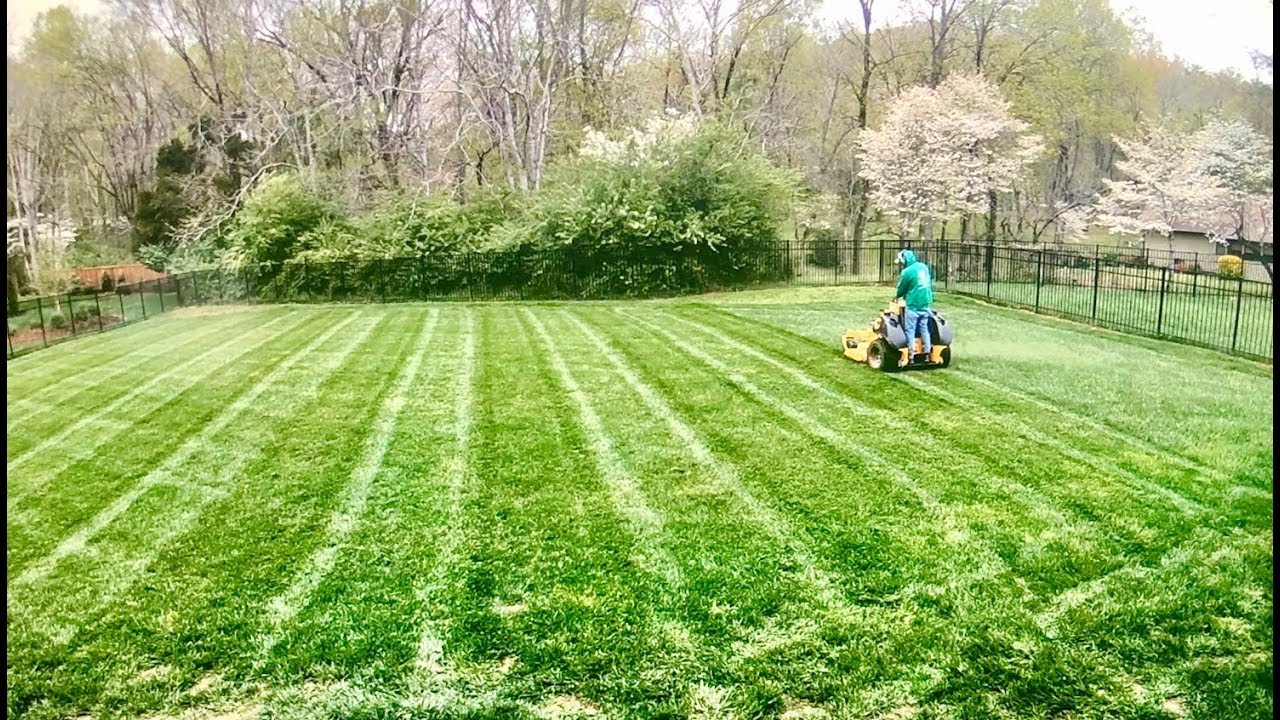 Pace, Ferry Pass, and Milton mulch professionals