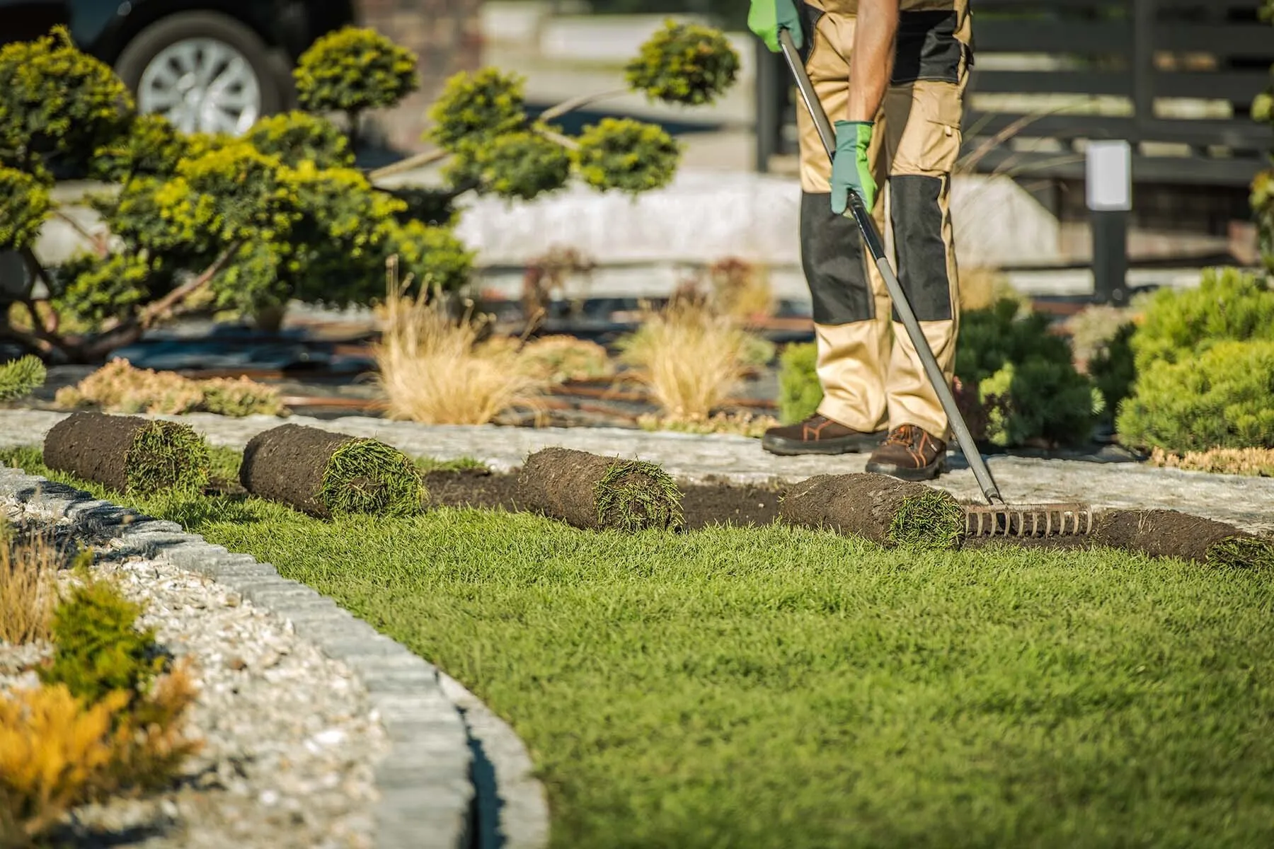 savannahsod 1920w - ProMow Lawn & Landscaping