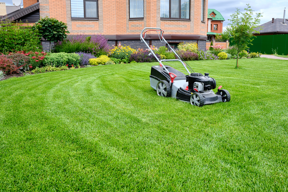 Florida mulch company for homes in Pace, Ferry Pass, and Milton<br />
