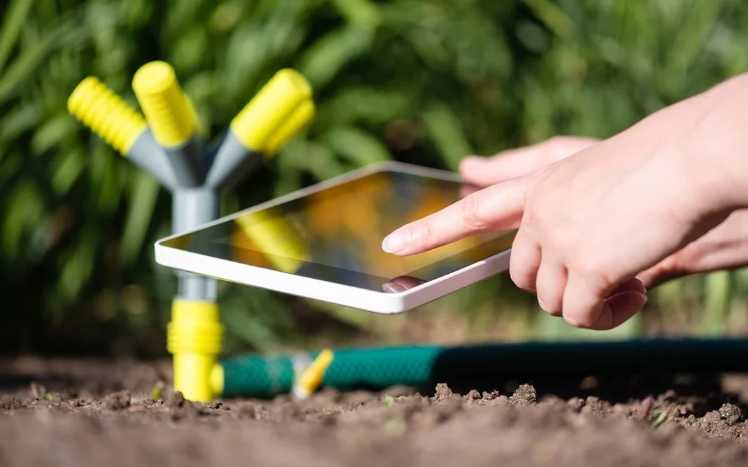 How to Save Time and Money with Smart Lawn Care and Maintenance Strategies