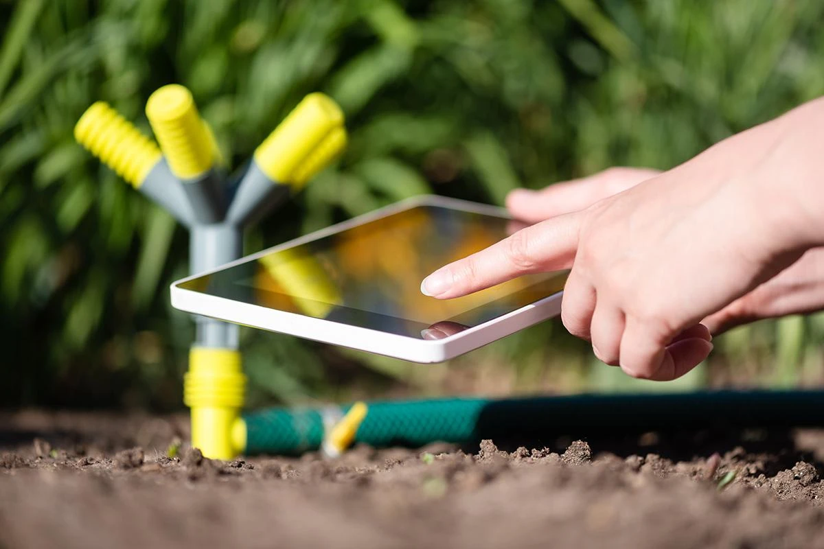 How to Save Time and Money with Smart Lawn Care and Maintenance Strategies