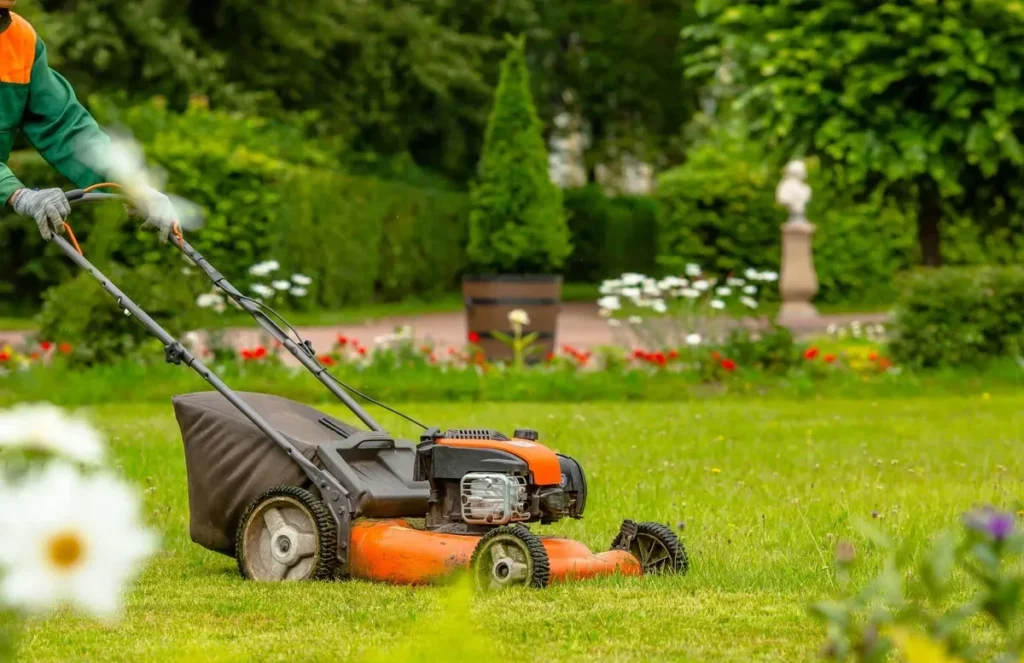 How to Save Time and Money with Smart Lawn Care and Maintenance Strategies