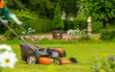 How to Save Time and Money with Smart Lawn Care and Maintenance Strategies