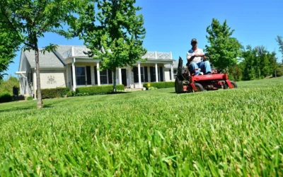 Top Benefits of Hiring Reliable Landscaping Services for Your Properties