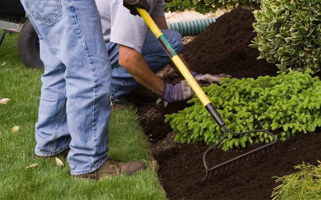 How Mulching Installation for Your Home Protects Plants and Soil Health