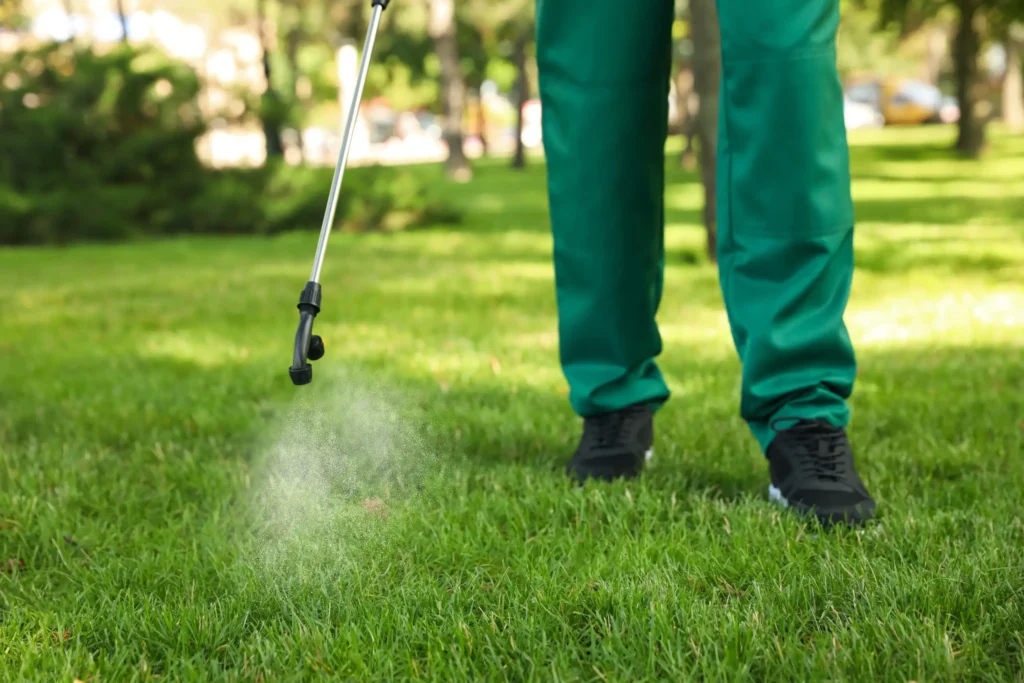 Lawn Care Services Designed to Strengthen Grass, Prevent Damage, and Enhance Beauty