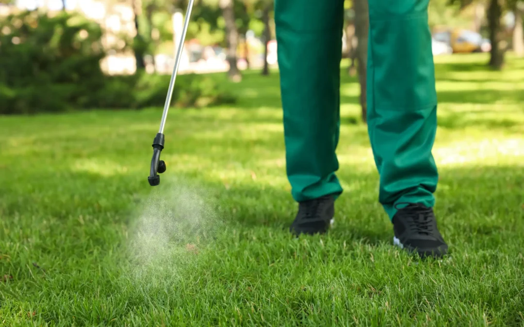 Lawn Care Services Designed to Strengthen Grass, Prevent Damage, and Enhance Beauty
