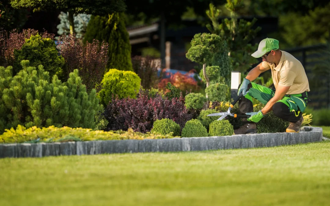 Transform Your Yard: Professional Lawn Maintenance Services in Pace, FL