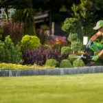 Transform Your Yard: Professional Lawn Maintenance Services in Pace, FL