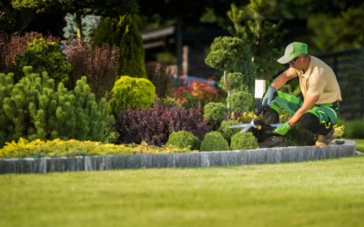 Transform Your Yard: Professional Lawn Maintenance Services in Pace, FL