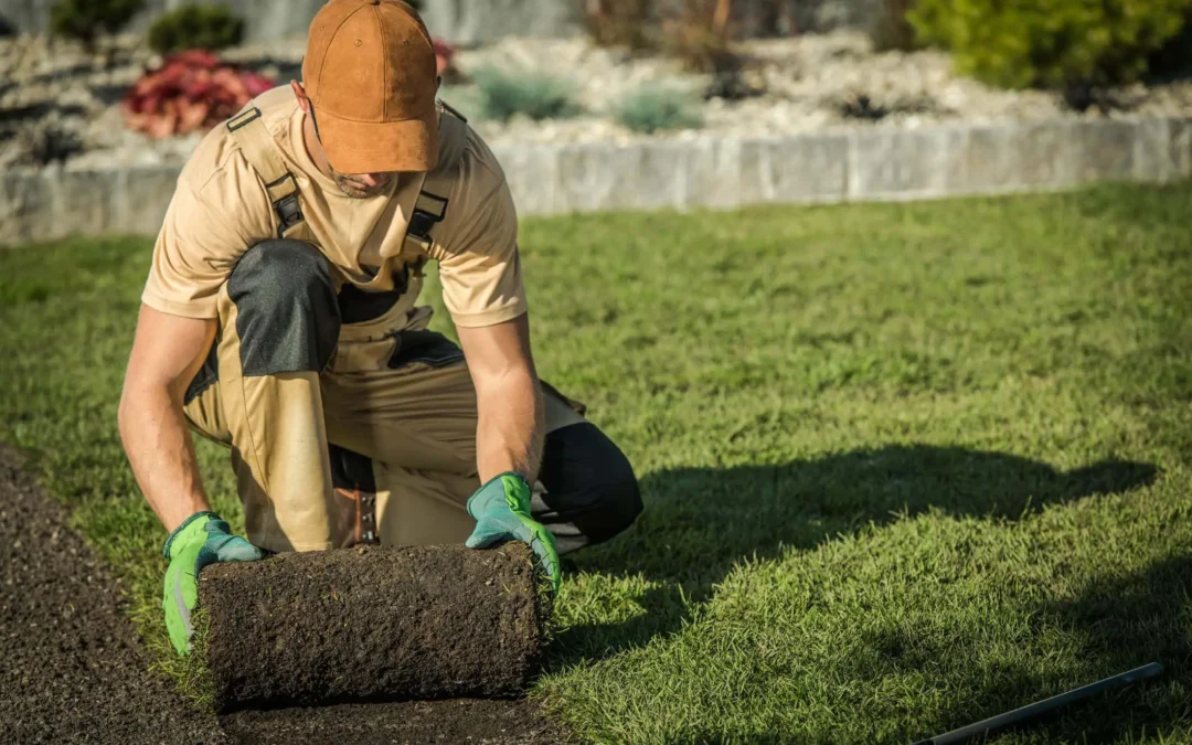 Work with a trusted landscaping contractor in Bellevue that homeowners rely on for professional design, installation, and year-round lawn and garden care.