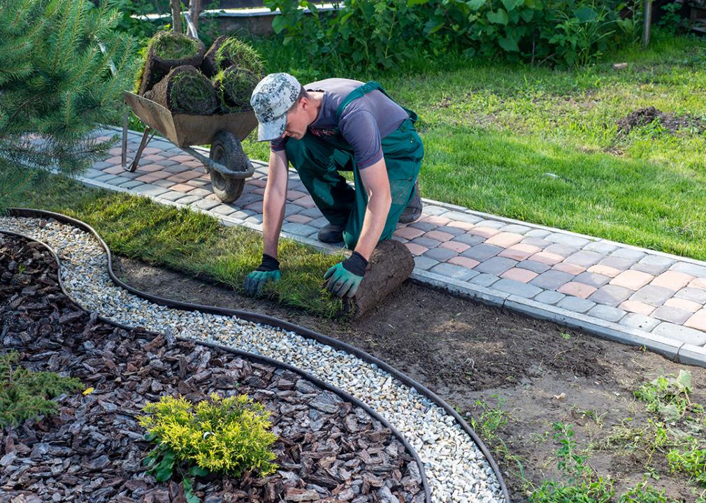professional landscaping services