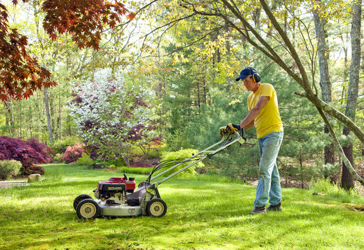 lawn care