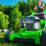 Lawn Care Pace FL – Keeping Your Yard Thriving All Year Round
