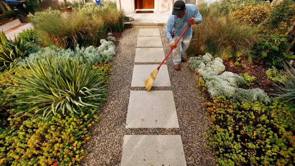 How Landscaping Services Help Protect Lawns from Heat and Weather Damage