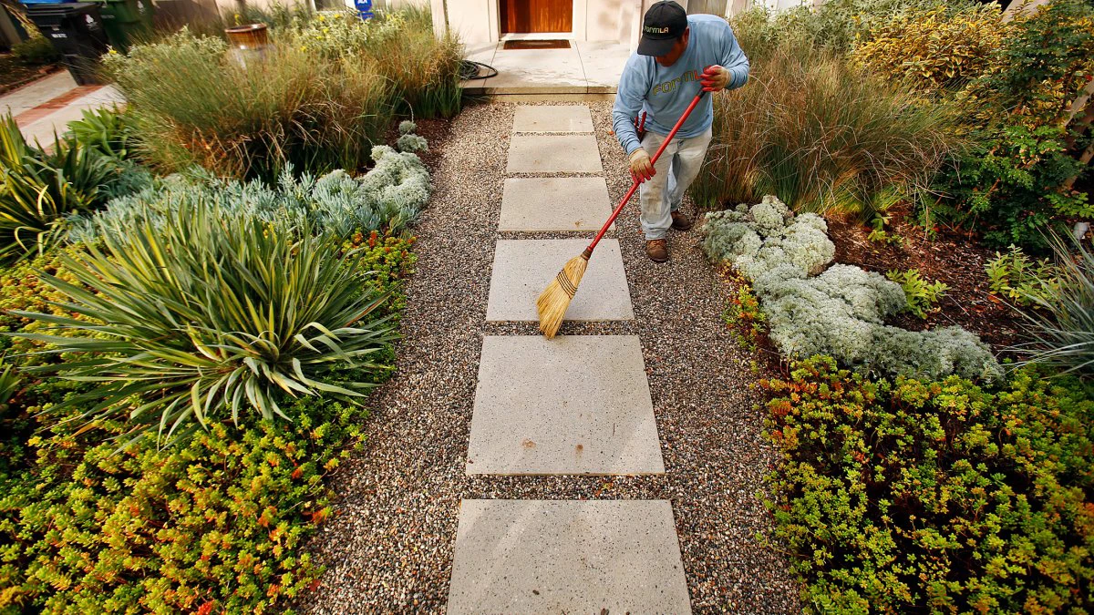 How Landscaping Services Help Protect Lawns from Heat and Weather Damage
