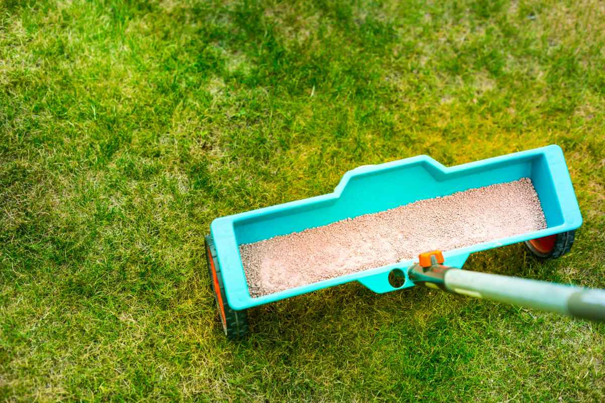 How Lawn Fertilization Helps Restore Thin and Nutrient-Deficient Grass Areas