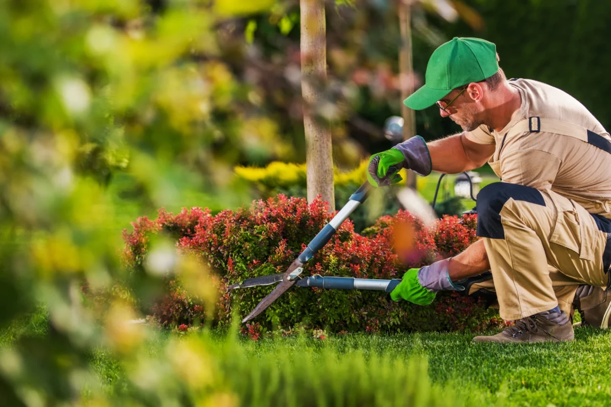 Landscaping Milton FL: 7 Ways Professional Landscaping Increases Property Value