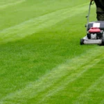 Lawn Care Pace Fl Keeping Your Yard Thriving All Year Round