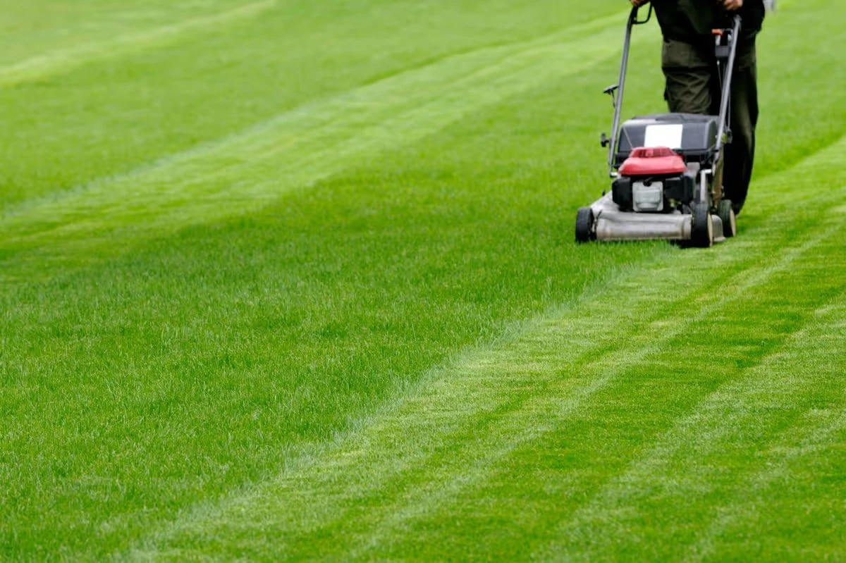 Lawn Care Pace Fl Keeping Your Yard Thriving All Year Round