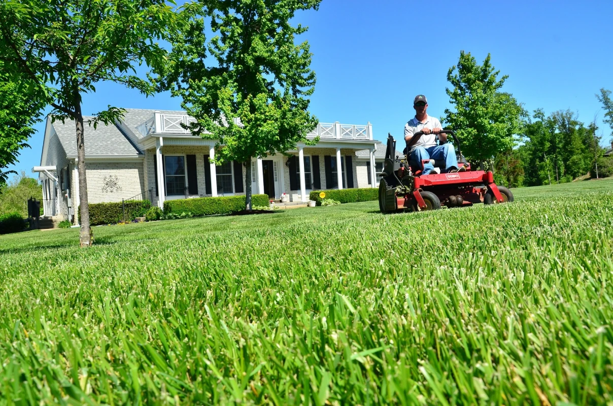 Lawn Care Pace Fl Professional Lawn Services For A Healthy Yard