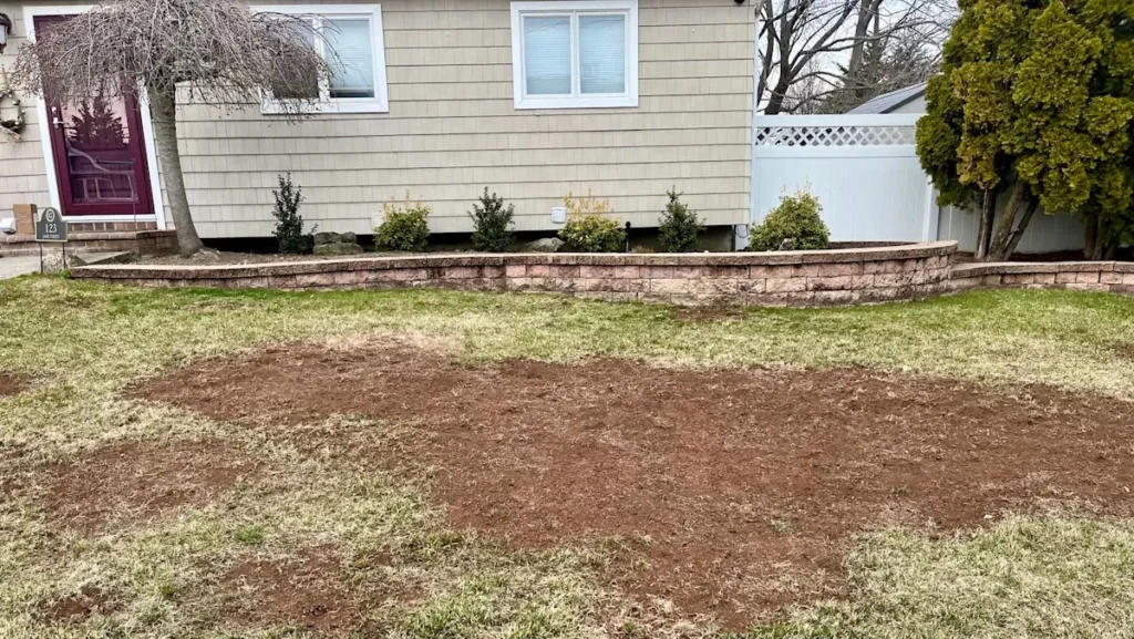 Struggling with a Patchy Lawn in Pace, FL Here’s What You Can Do