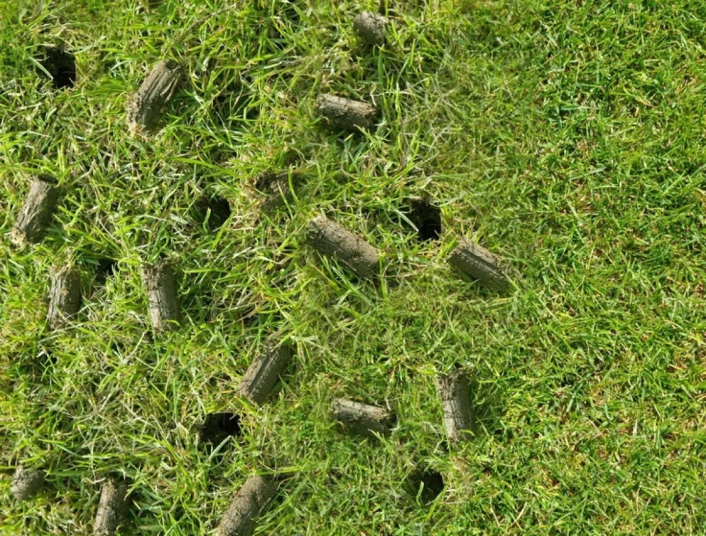 What Happens When Lawns Are Not Aerated Regularly Throughout the Year?