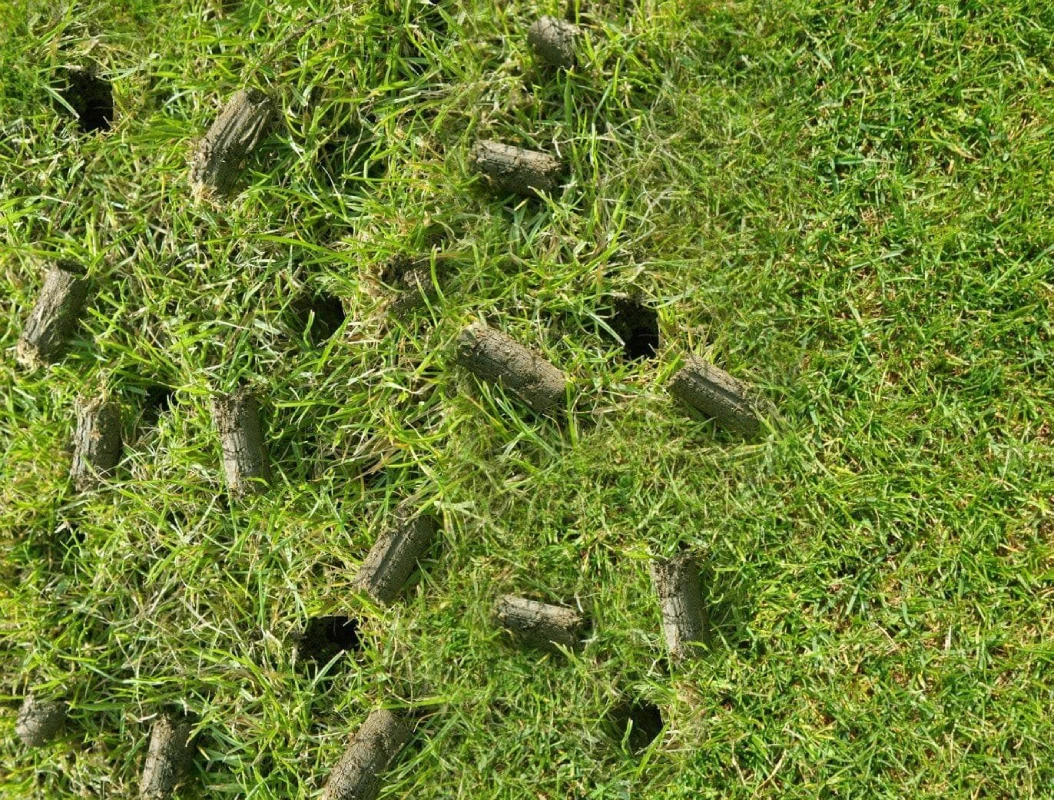What Happens When Lawns Are Not Aerated Regularly Throughout the Year?