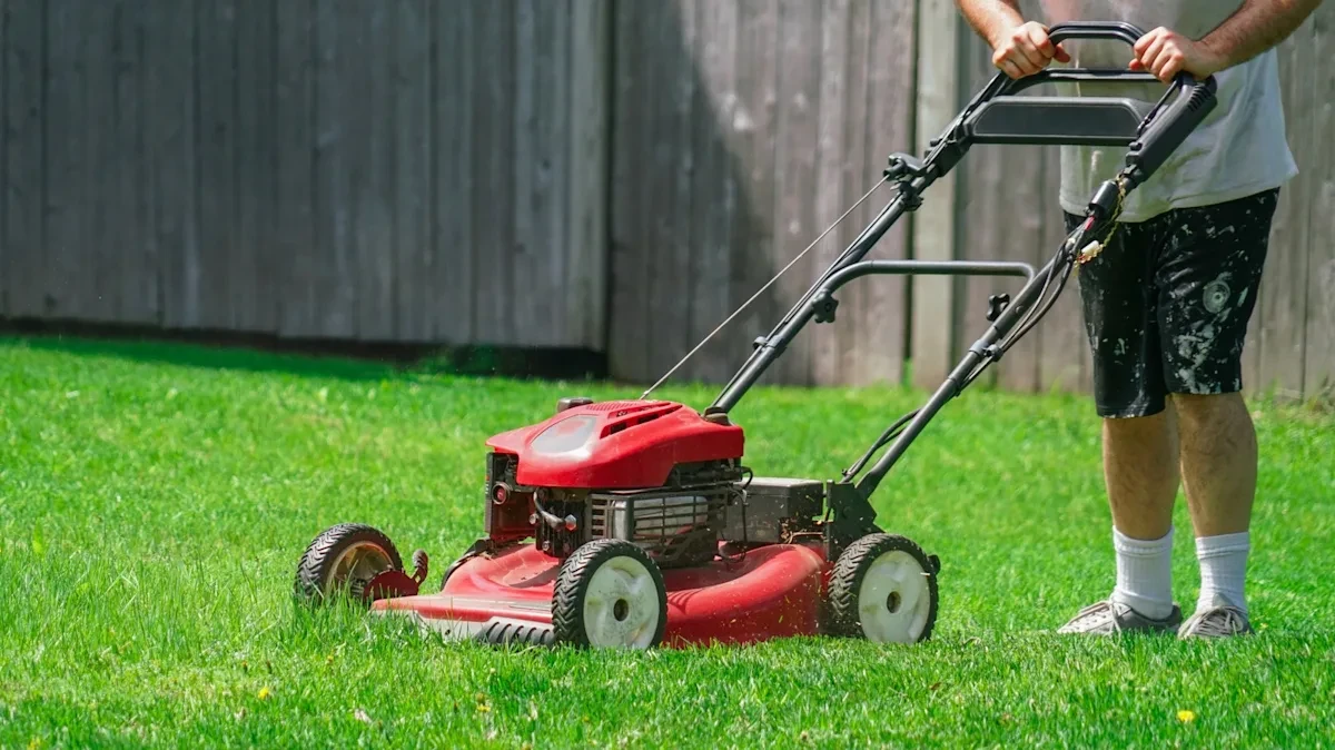 When to Repair or Replace Your Lawn