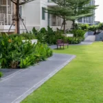 Why Homeowners Choose Landscaping Companies in Milton, FL, for Outdoor Transformations