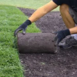 Why Professional Sod Installation Milton Homeowners Trust Produces Better Results