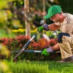 Landscapers Pensacola: How to Tell a Real Local Crew From a Subcontractor Wearing Their Name