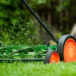 Lawn Mowing Pensacola: Why Weekly Beats Bi-Weekly During Florida’s Never-Really-Ends Growing Season