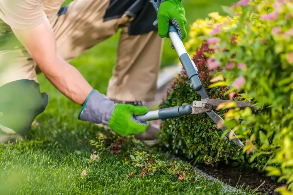 Better Bed Care for Busy Property