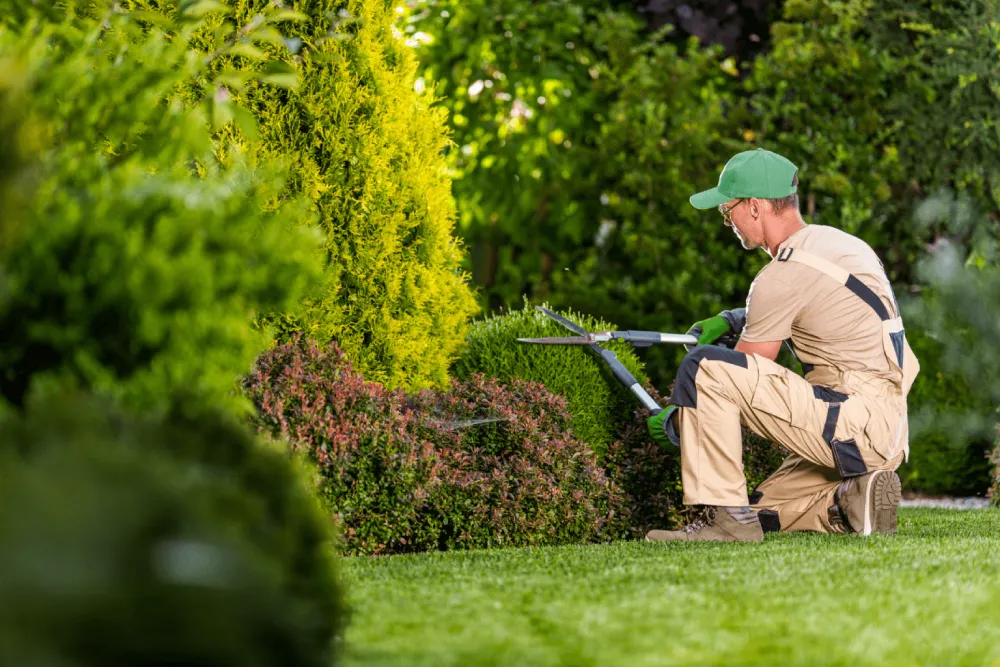 Better Outdoor Planning for Commercial