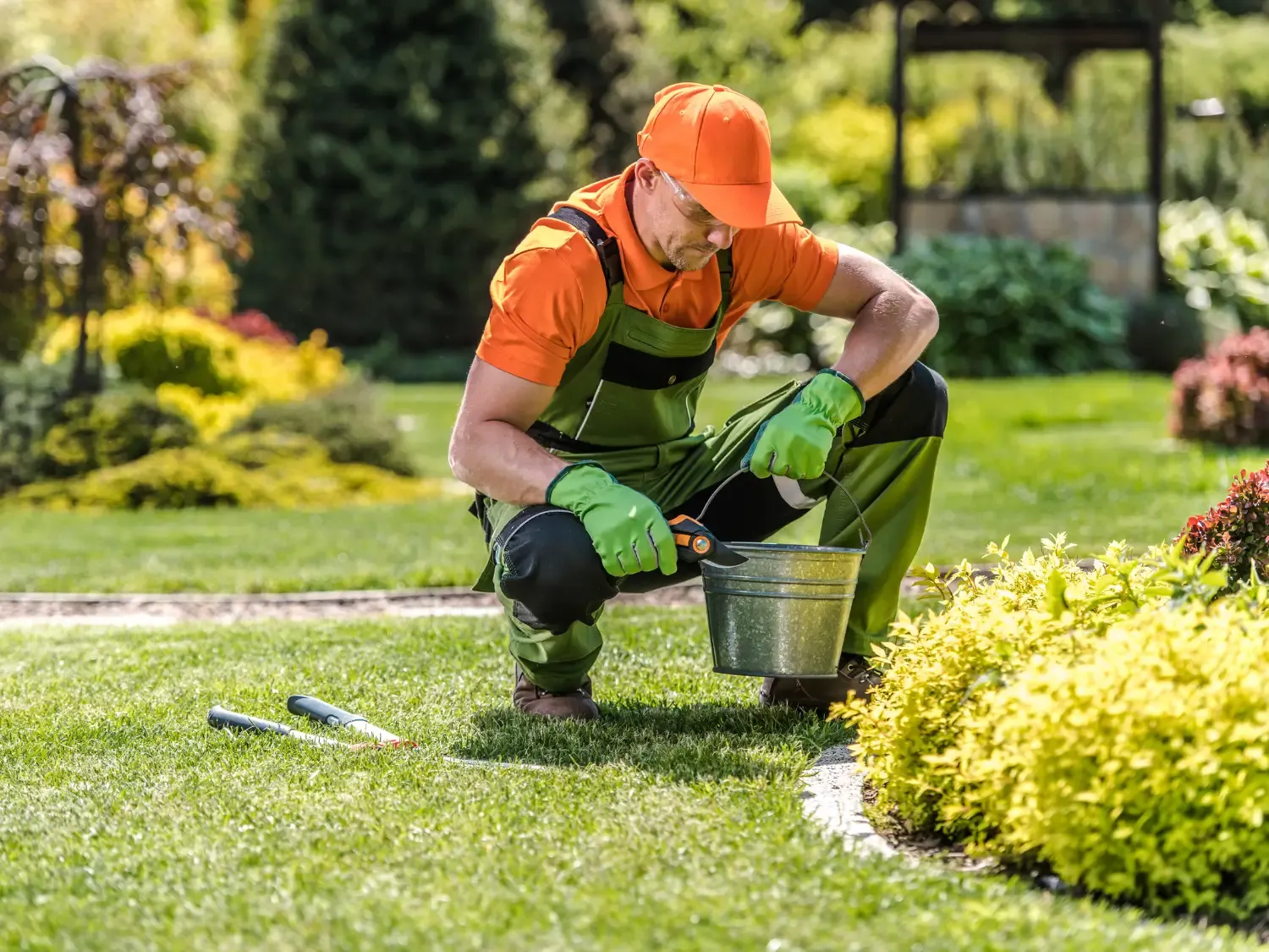 Cleaner Outdoor Detail with Landscape