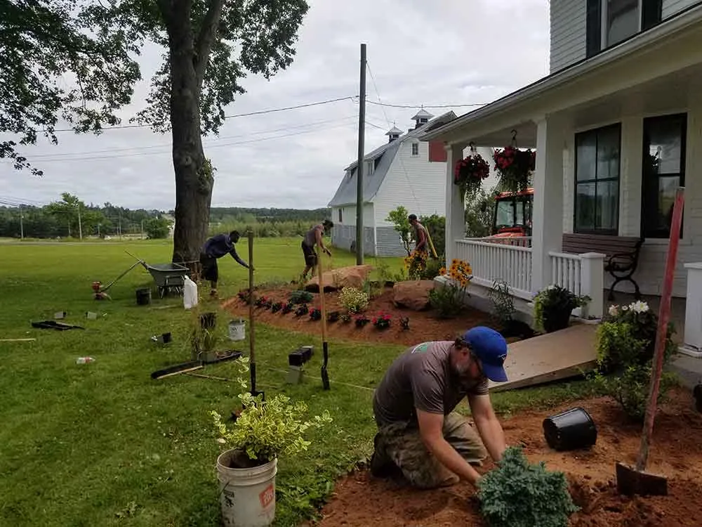 Neat Garden Borders with Landscape Bed