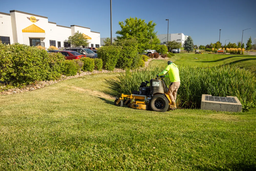 Professional Exterior Care That Supports