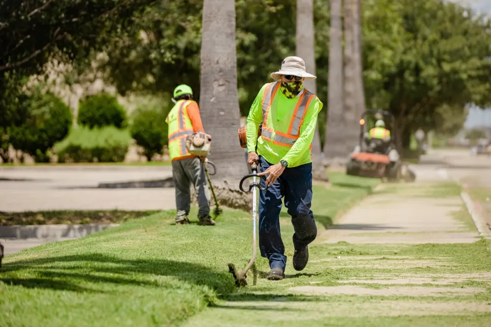 Reliable Grounds Care with Commercial Landscaping (1)
